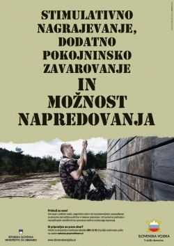 Military as profession